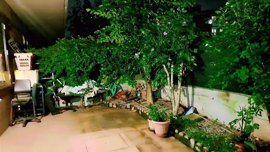 Family House-1